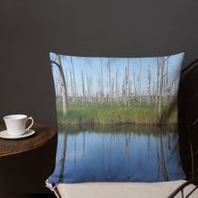 Load image into Gallery viewer, Brunswick Nature preserve Marsh Pillow