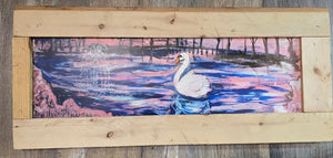 27 x12" framed print Airlie swan