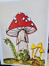 Load image into Gallery viewer, 5x7 mini print /note card mushroom art  3 by Laurel Herbert