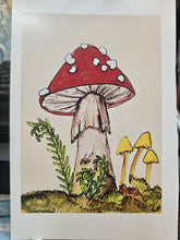 Load image into Gallery viewer, 5x7 mini print /note card mushroom art by Laurel Herbert