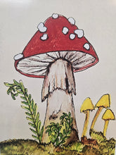Load image into Gallery viewer, 5x7 mini print /note card mushroom art by Laurel Herbert