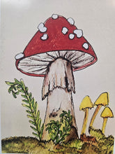 Load image into Gallery viewer, 5x7 mini print /note card mushroom art by Laurel Herbert
