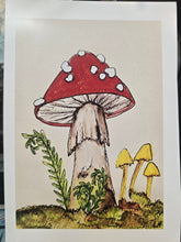 Load image into Gallery viewer, 5x7 mini print /note card mushroom art by Laurel Herbert