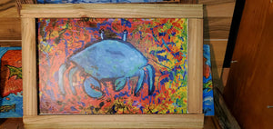 Chaos crab 12x18 " framed clearance sale scratch and dent