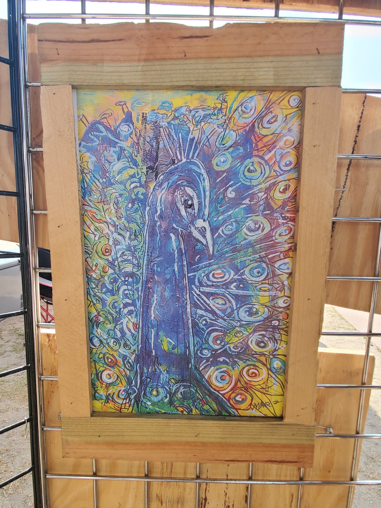 20x12 framed peacock print