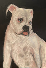 Load image into Gallery viewer, Mixed media 8x10 pet portrait by Karma