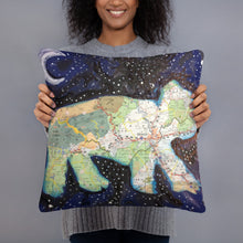 Load image into Gallery viewer, buncombe bear Pillow