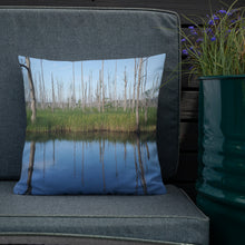 Load image into Gallery viewer, Brunswick Nature preserve Marsh Pillow